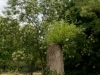 DSC00745_DxO