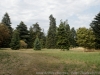 DSC00749_DxO