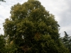 DSC00753_DxO