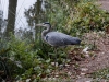DSC00759_DxO