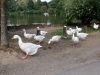 DSC00931_DxO_0