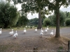 DSC00934_DxO_1