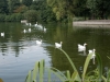 DSC00943_DxO