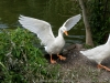 DSC00944_DxO_1