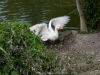 DSC00945_DxO_1