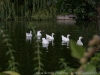 DSC00946_DxO