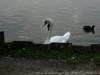 DSC00948_DxO_1