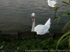 DSC00949_DxO_1