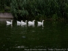 DSC00951_DxO