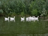 DSC00953_DxO