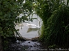 DSC00956_DxO