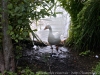 DSC00959_DxO_1
