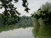 DSC00963_DxO