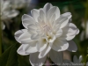 DSC01027_DxO_1