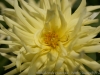 DSC01045_DxO