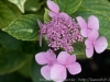 DSC00978_DxO