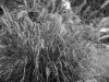 DSC01056_DxO_1