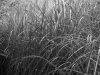DSC01065_DxO_1