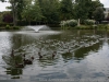 DSC01106_DxO