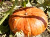 DSC01211_DxO
