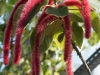 DSC01229_DxO