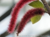 DSC01232_DxO