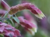 DSC01240_DxO