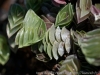DSC01255_DxO