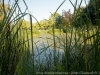 DSC01256_DxO