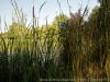 DSC01260_DxO