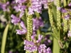 DSC01261_DxO