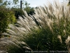 DSC01264_DxO