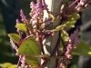 DSC01266