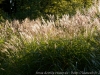 DSC01275_DxO