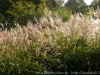 DSC01276_DxO