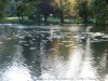 DSC01278_DxO