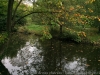 IMG_3895_DxO_2