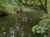 IMG_3896_DxO