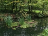 IMG_3897_DxO_2