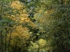 DSC01364_DxO