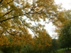 DSC01376_DxO