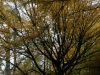DSC01405_DxO