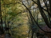 DSC01426_DxO