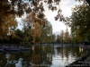 DSC01445_DxO