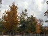 IMG_4034_DxO_1