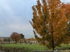 IMG_4046_DxO_1