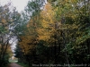 IMG_4106_DxO_1
