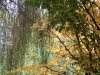 IMG_4109_DxO
