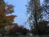 IMG_4115_DxO_1
