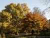 DSC01454_DxO_3